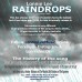 ST843 Raindrops - Single