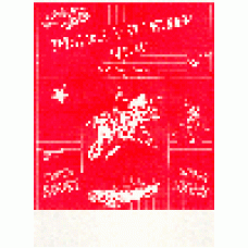 Poster a4 Lonnie Lee's RocknRemember